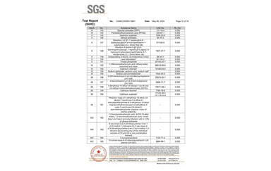 環保測試報告 SVHC CANEC25009119801